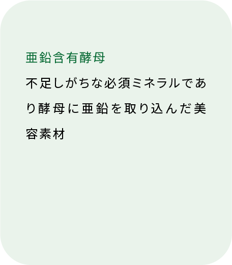 亜鉛含有酵母 必須ミネラル（裏面）